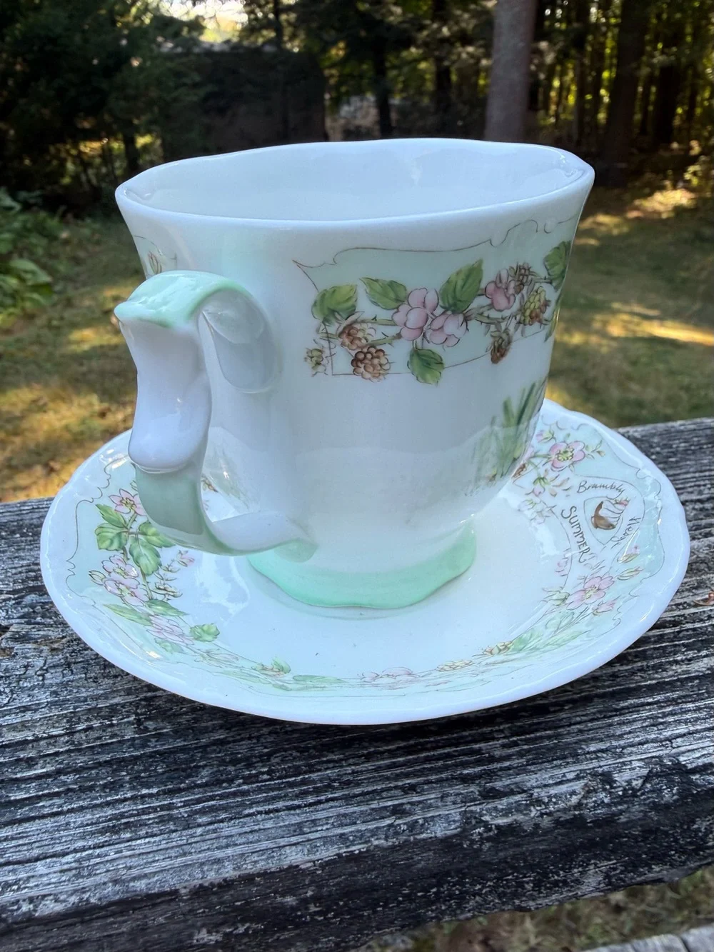 Royal Doulton Brambly Hedge Teacup and Saucer “Summer”Bone China 1983